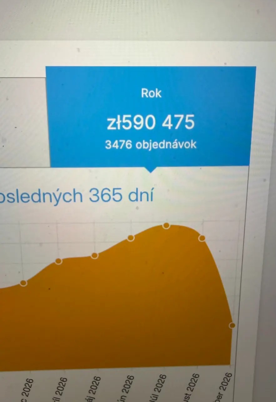 Reálne ročné výsledky e-shopu 4