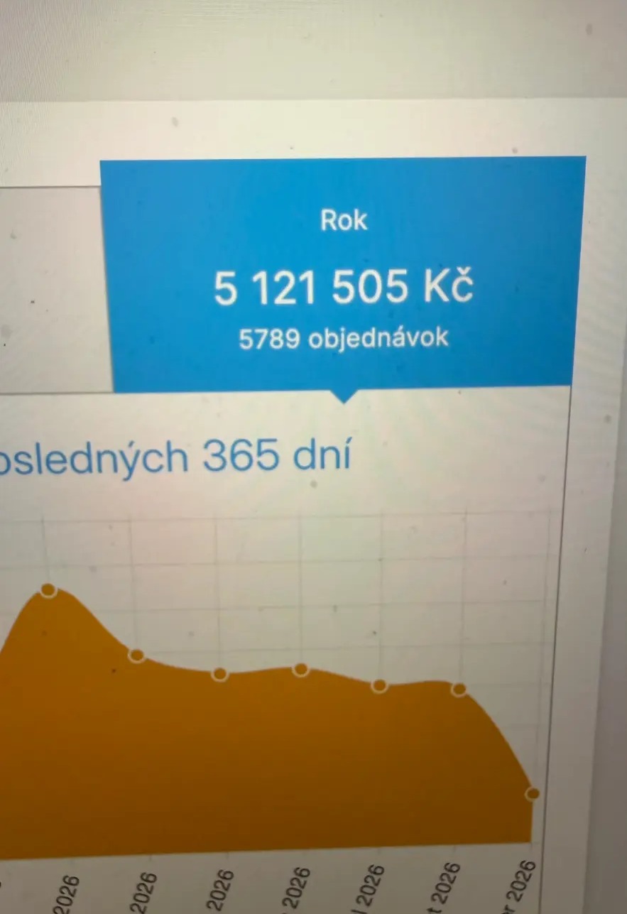Reálne ročné výsledky e-shopu 1