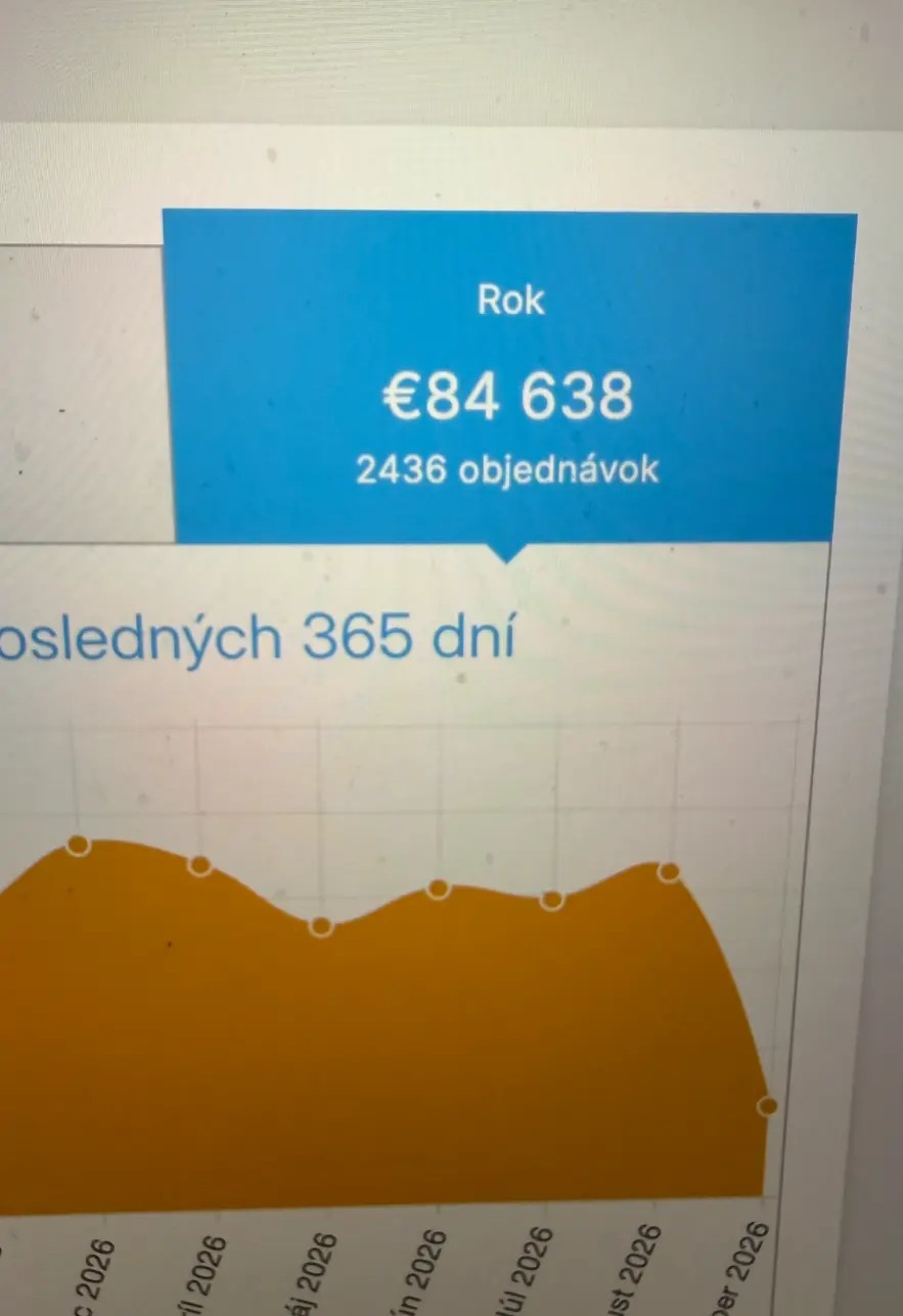 Reálne ročné výsledky e-shopu 2
